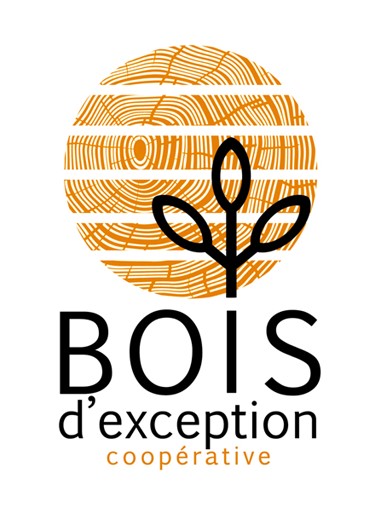 logo-bois-exception-1